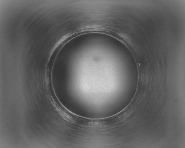 X0000056341458200508291303