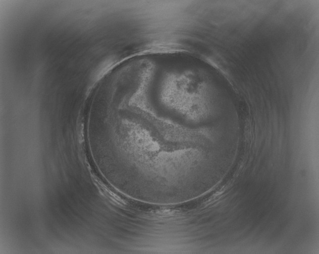 X0000056341459200508291303