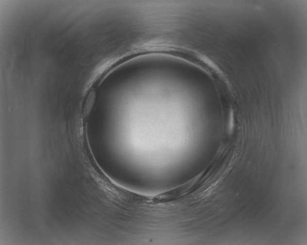 X0000056341461200508291303