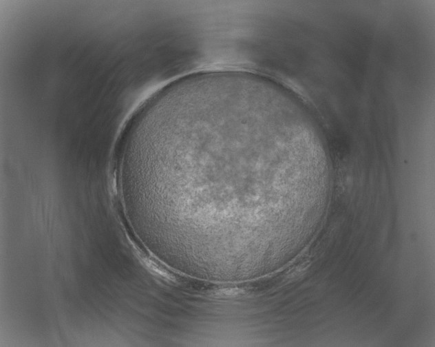 X0000056341462200508291303