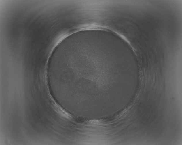 X0000056341463200508291303