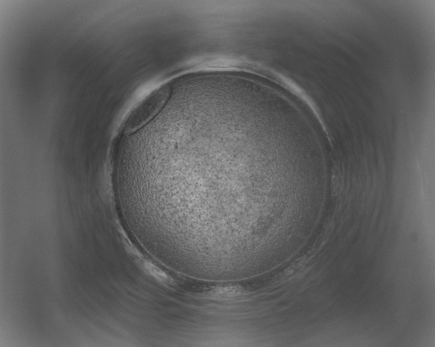 X0000056341464200508291303