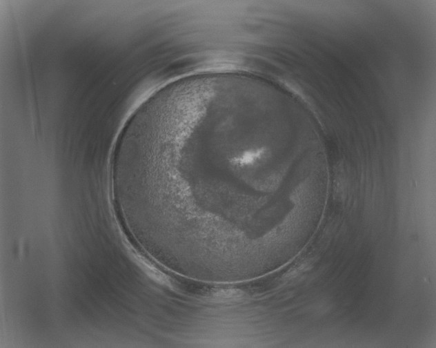 X0000056341467200508291303