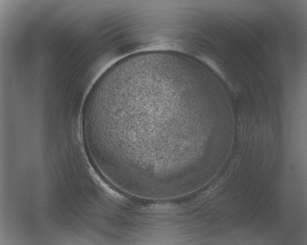 X0000056341468200508291303