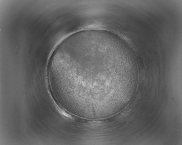 X0000056341470200508291303