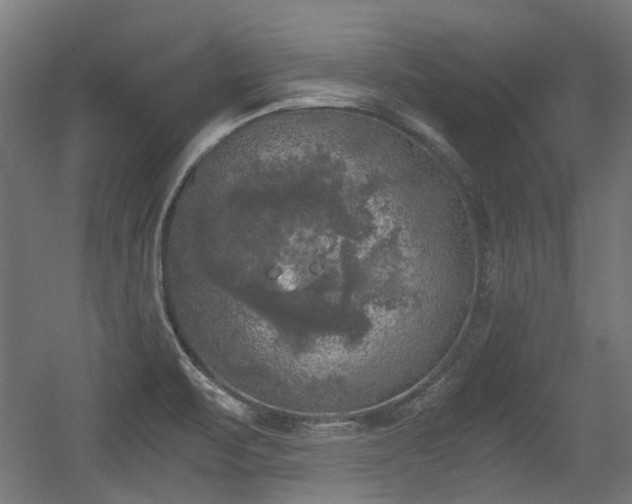 X0000056341471200508291303