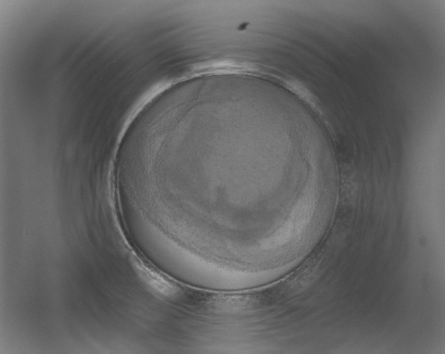 X0000056341474200508291303