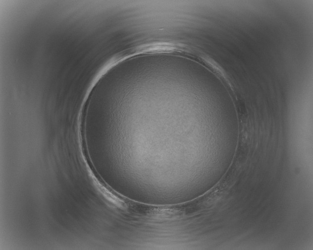 X0000056341475200508291303