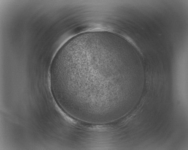 X0000056341476200508291303