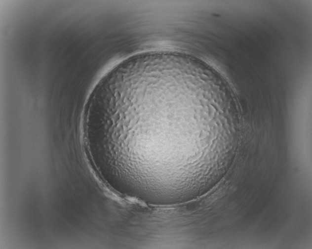 X0000056341477200508291303