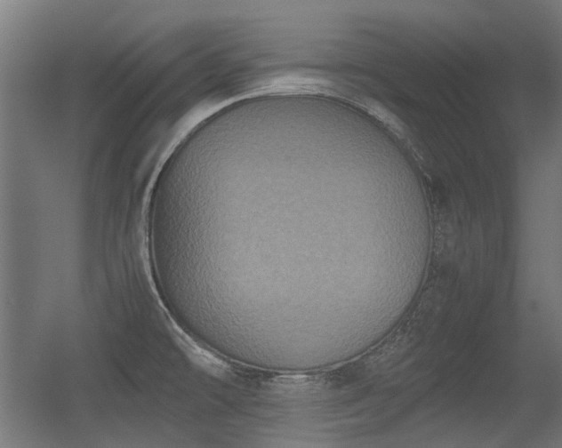 X0000056341478200508291302