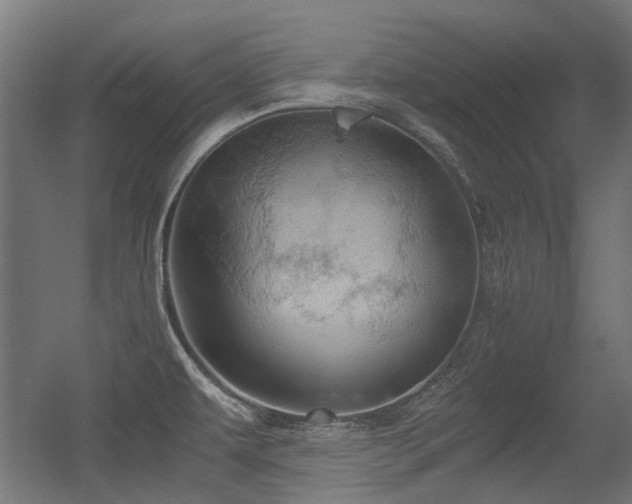 X0000056341479200508291302