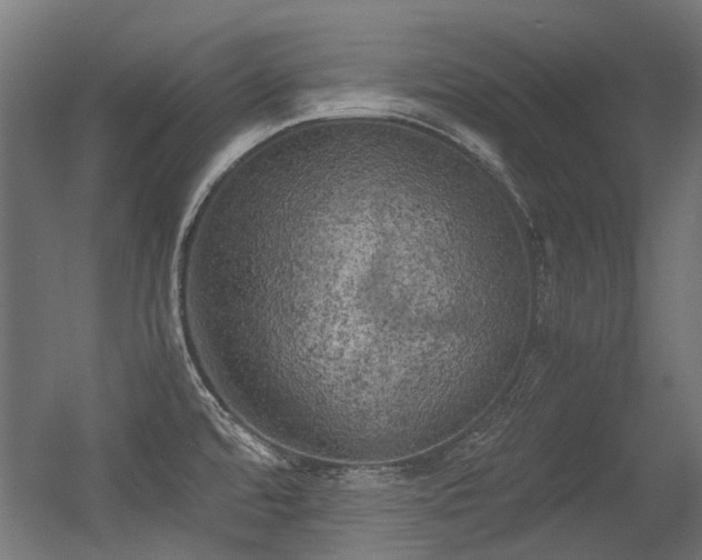 X0000056341480200508291302