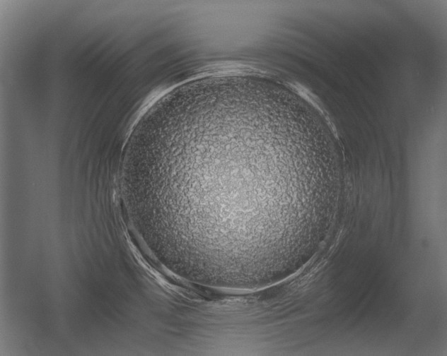 X0000056341481200508291302