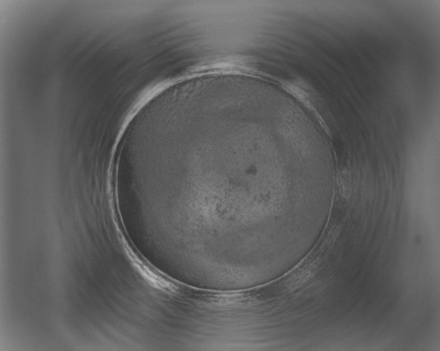 X0000056341482200508291302