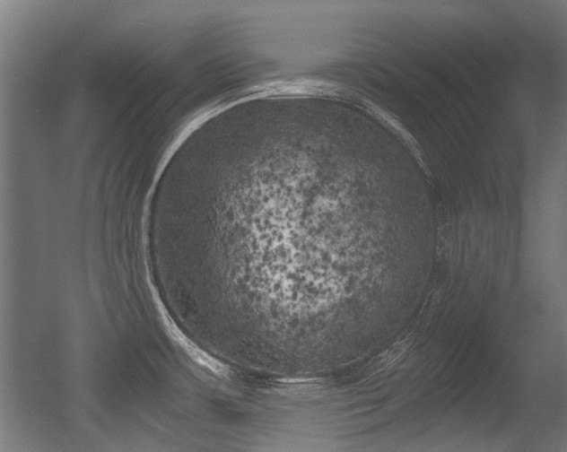 X0000056341483200508291302