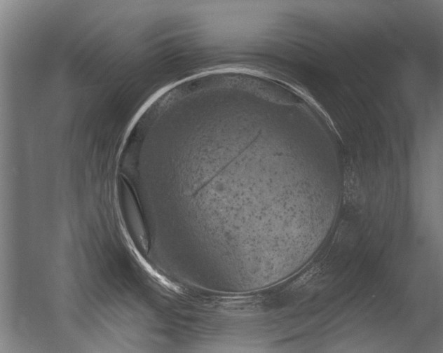 X0000056341484200508291302