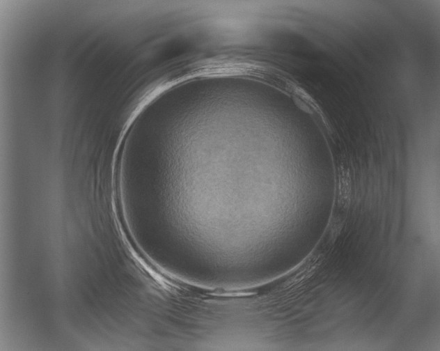 X0000056341487200508291302