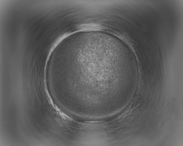 X0000056341488200508291302