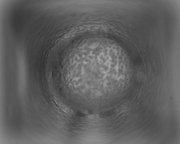 X0000056341489200508291301