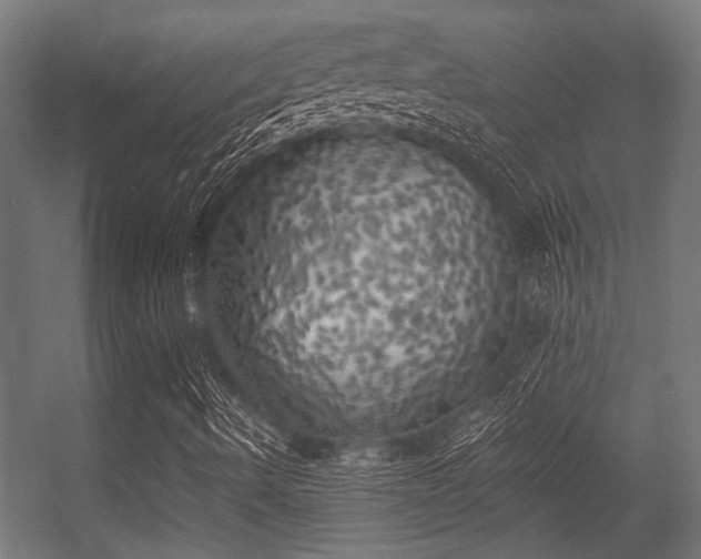 X0000056341490200508291302