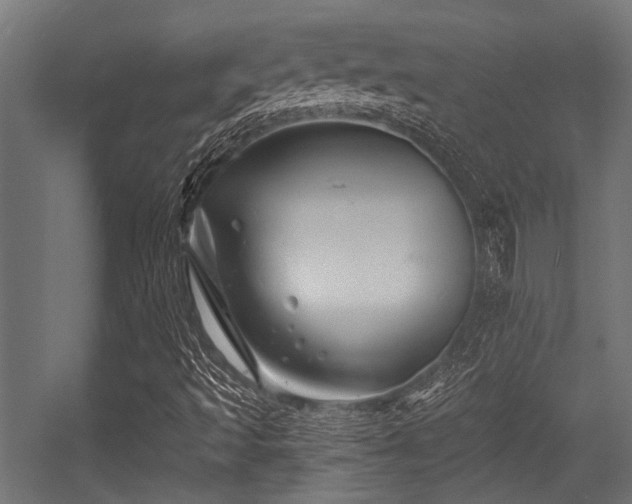 X0000056341493200508291302