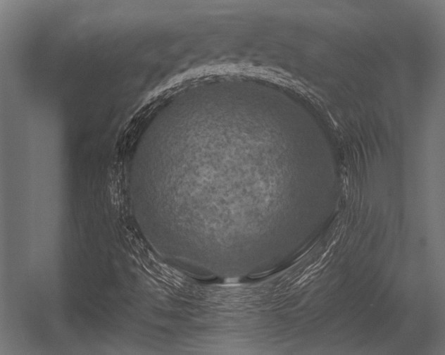 X0000056341494200508291302