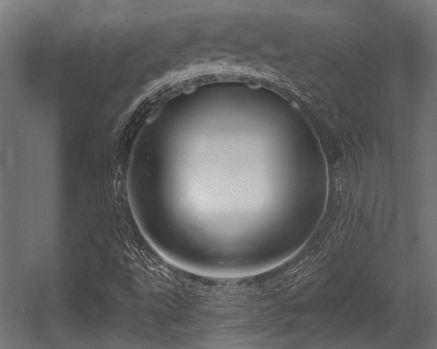 X0000056341495200508291302