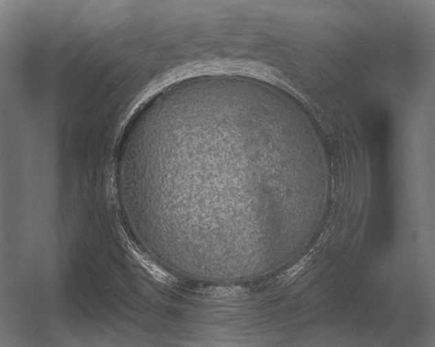 X0000056341498200508291302