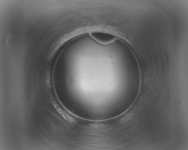 X0000056341499200508291302