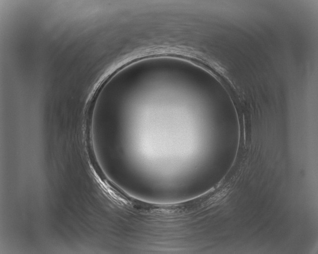 X0000056341500200508291302