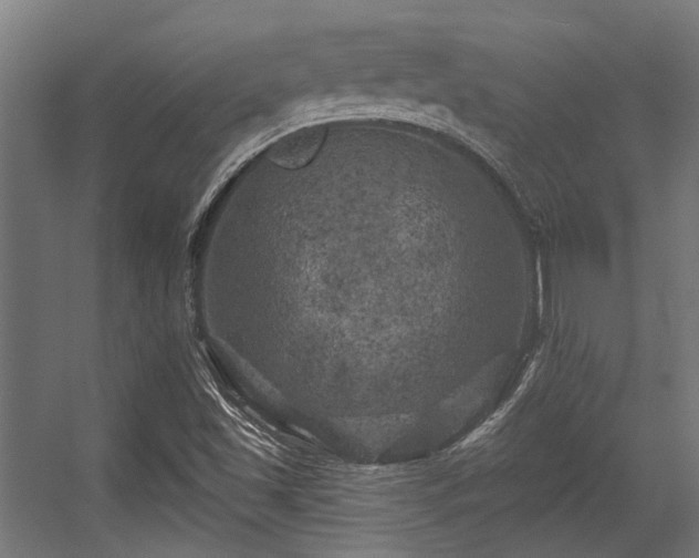 X0000056341501200508291302