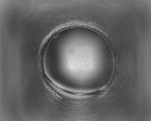 X0000056341502200508291302