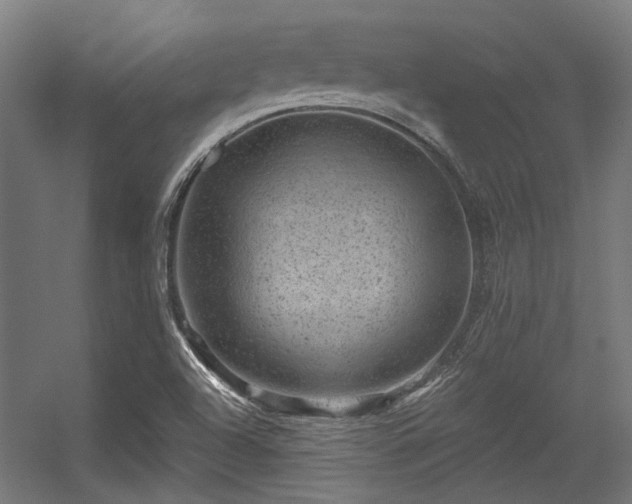 X0000056341504200508291302