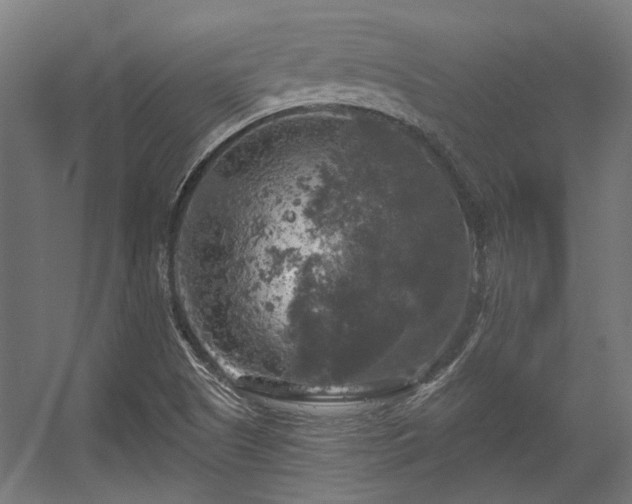 X0000056341505200508291302