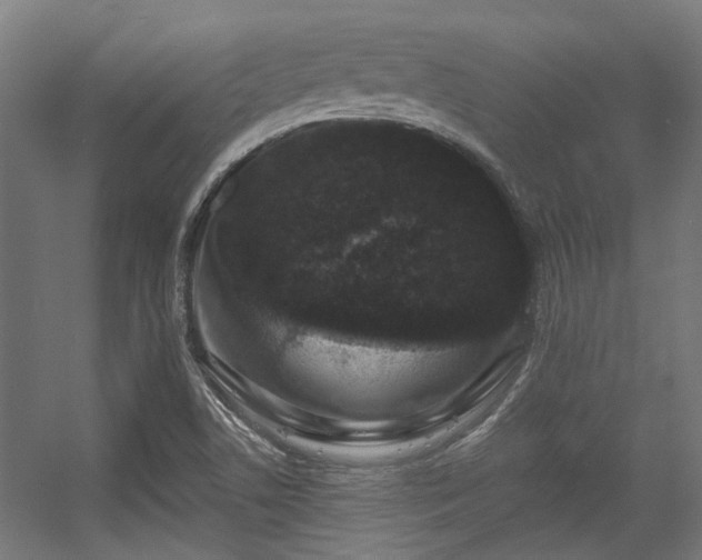 X0000056341506200508291302