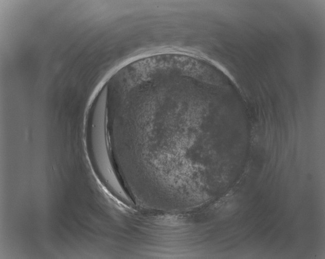 X0000056341508200508291302