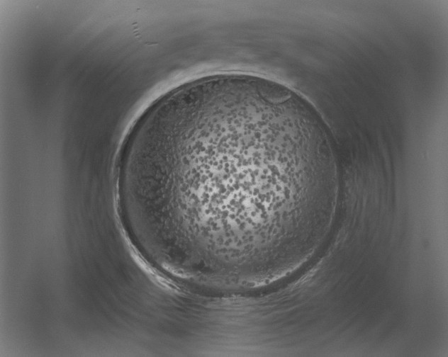 X0000056341511200508291302