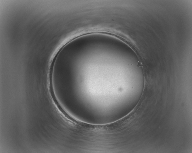 X0000056341512200508291302