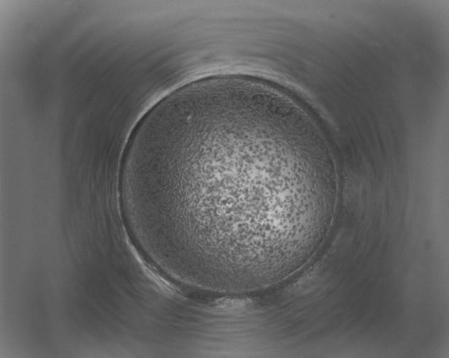 X0000056341513200508291302