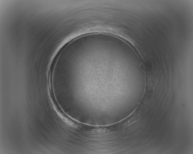 X0000056341515200508291302