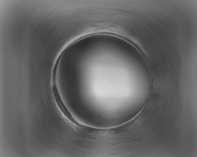 X0000056341516200508291302