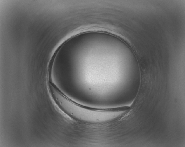 X0000056341518200508291302