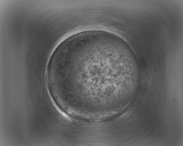 X0000056341519200508291302