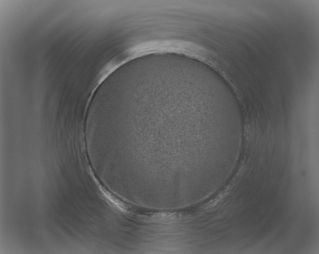 X0000056341521200508291302