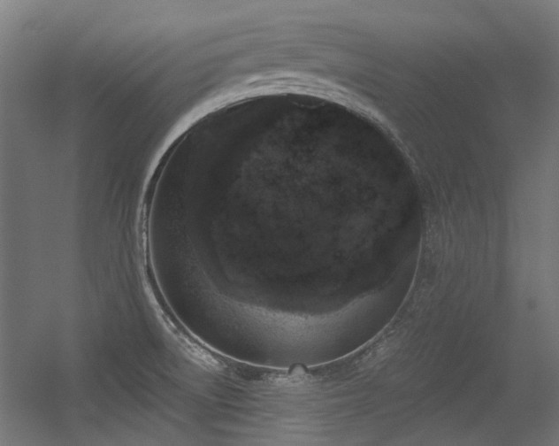 X0000056341522200508291302