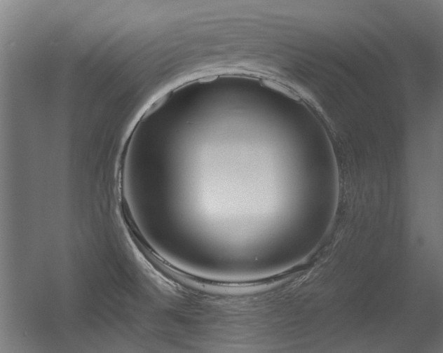 X0000056341524200508291302