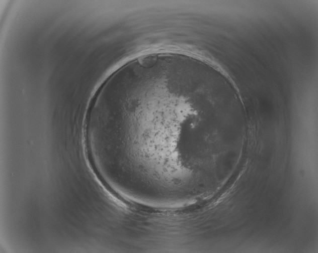 X0000056341525200508291302