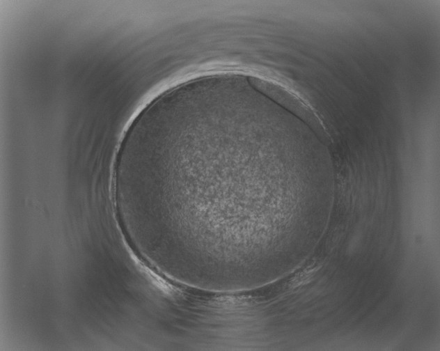 X0000056341527200508291302