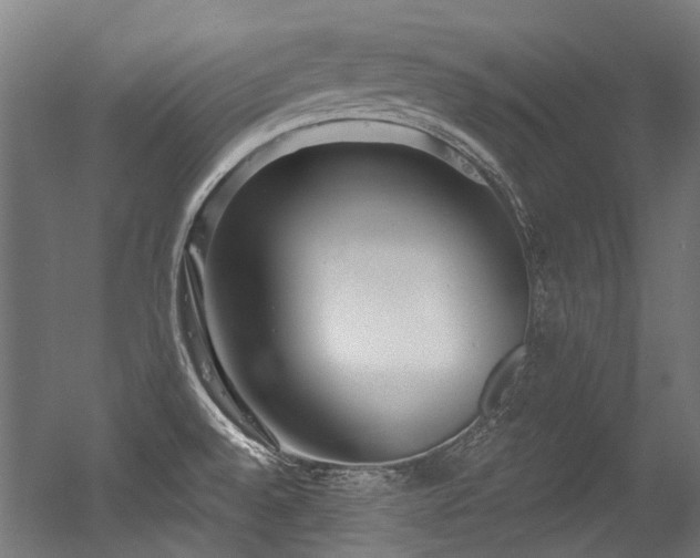 X0000056341528200508291302